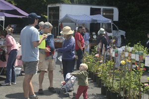 Farmers Market